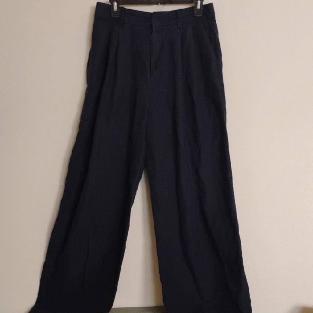 Gap Navy Pleated Line Blue Pants Size 8